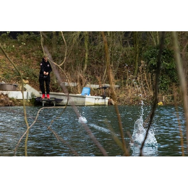 FOX Edges™ Abnehmbare fliegende Rückengewichte – 10 g – 5er-Set – Fischereisicheres Schnurgewicht