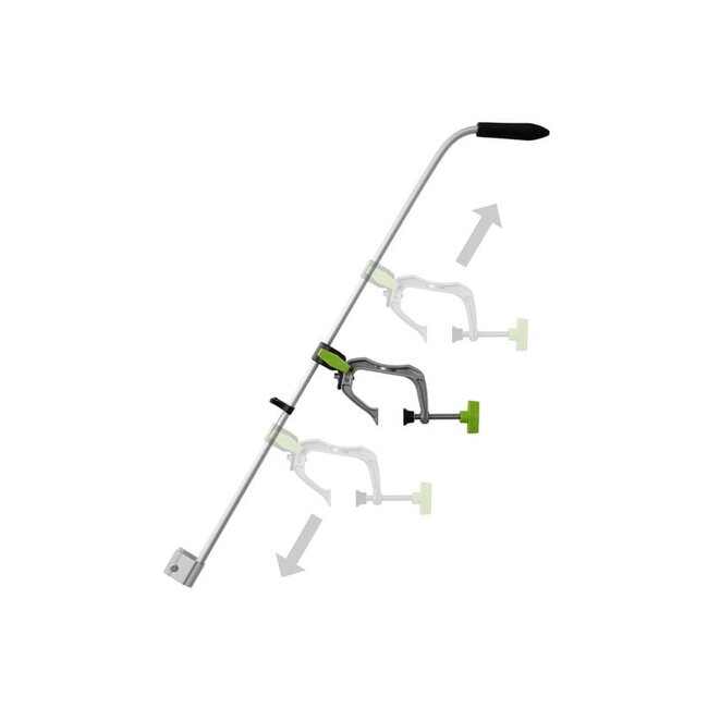 Delphin Echolothalterung