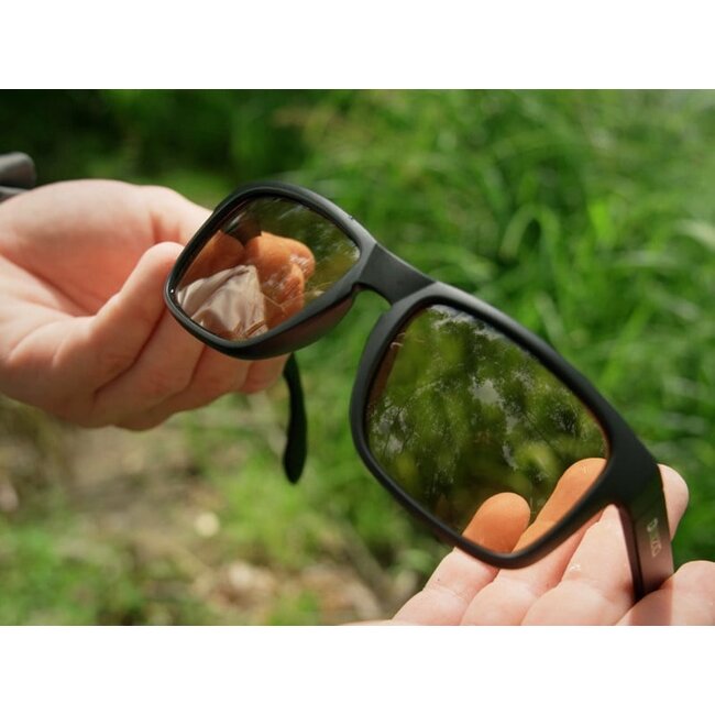 Delphin Wizio – Polarisierende Sonnenbrille
