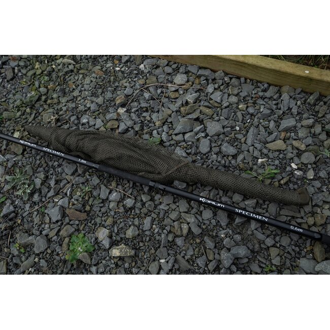 Korum Specimen – Kescher – 36"