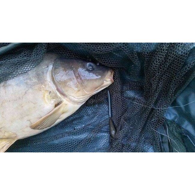 PB Products Downforce Tungsten – Heli-Chod Buffer hood