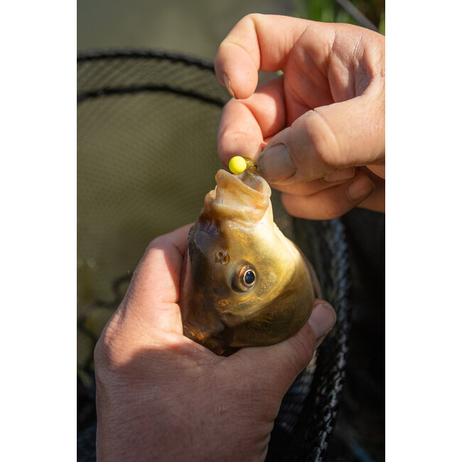 Sonubaits Spike'um – Mini Wafter