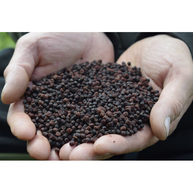 Sonubaits Spicy Sausage – Heilbutt-Pellets