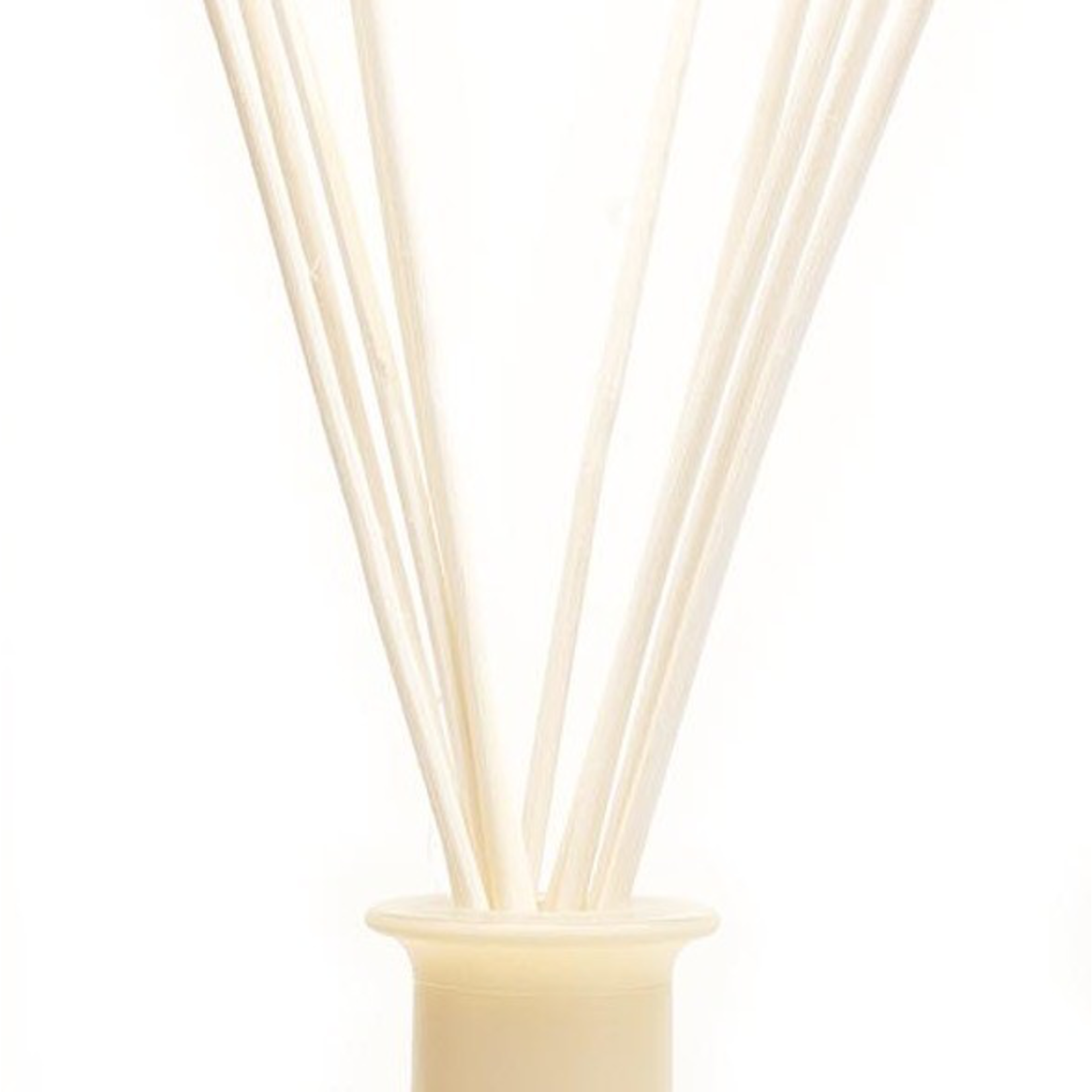 St. Eval St Eval Reeds Bundle of 10