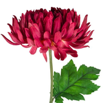 Grand Interiors Chrysanthemum Dark Pink 74cm