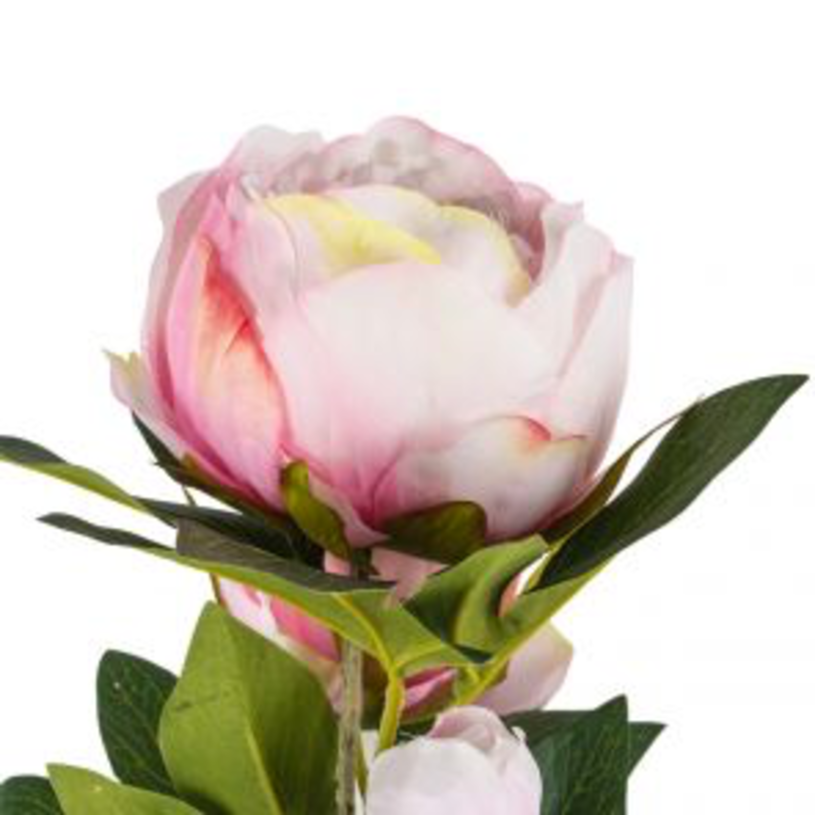 Grand Interiors Peony Spray Light Pink 70cm