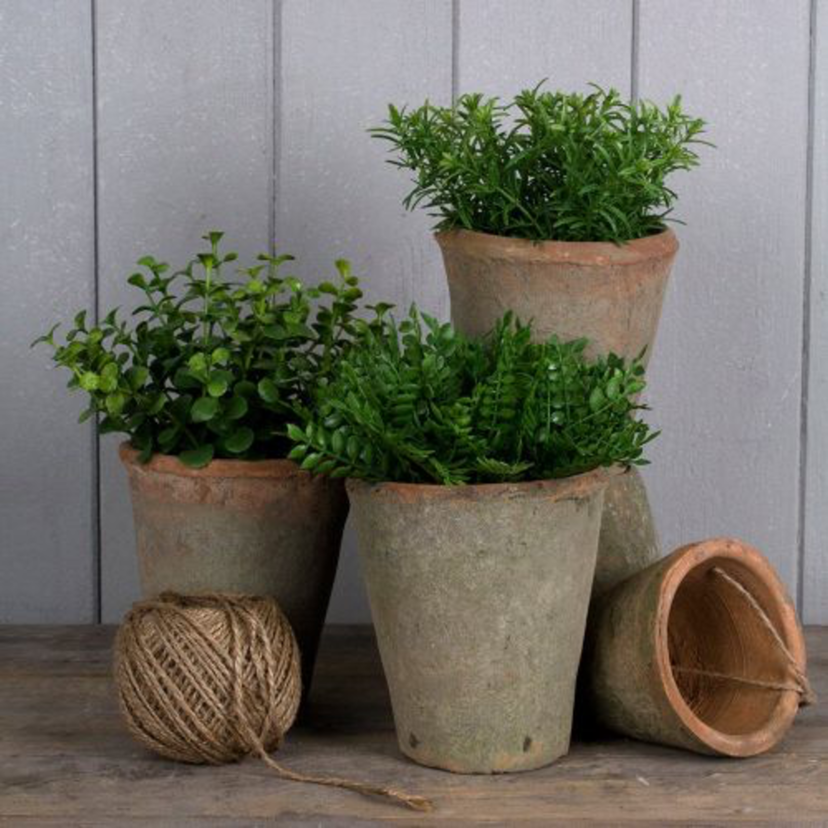 Grand Interiors Mini Herb in Pot Mix