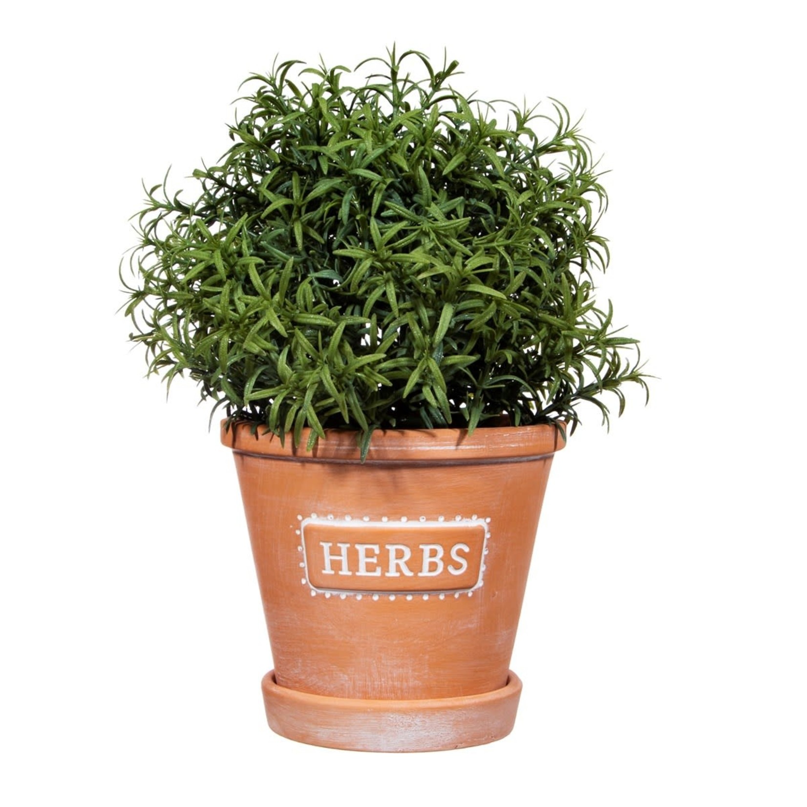 Sass and Belle HERBS Terracotta Planter with Saucer