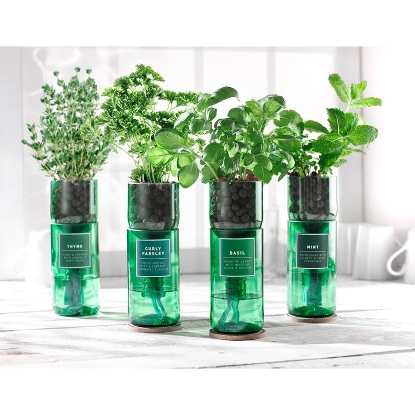 Hydro-herb Mint Hydro-herb Kit