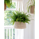 GT Woven Hanging Plant Pot - Tapered