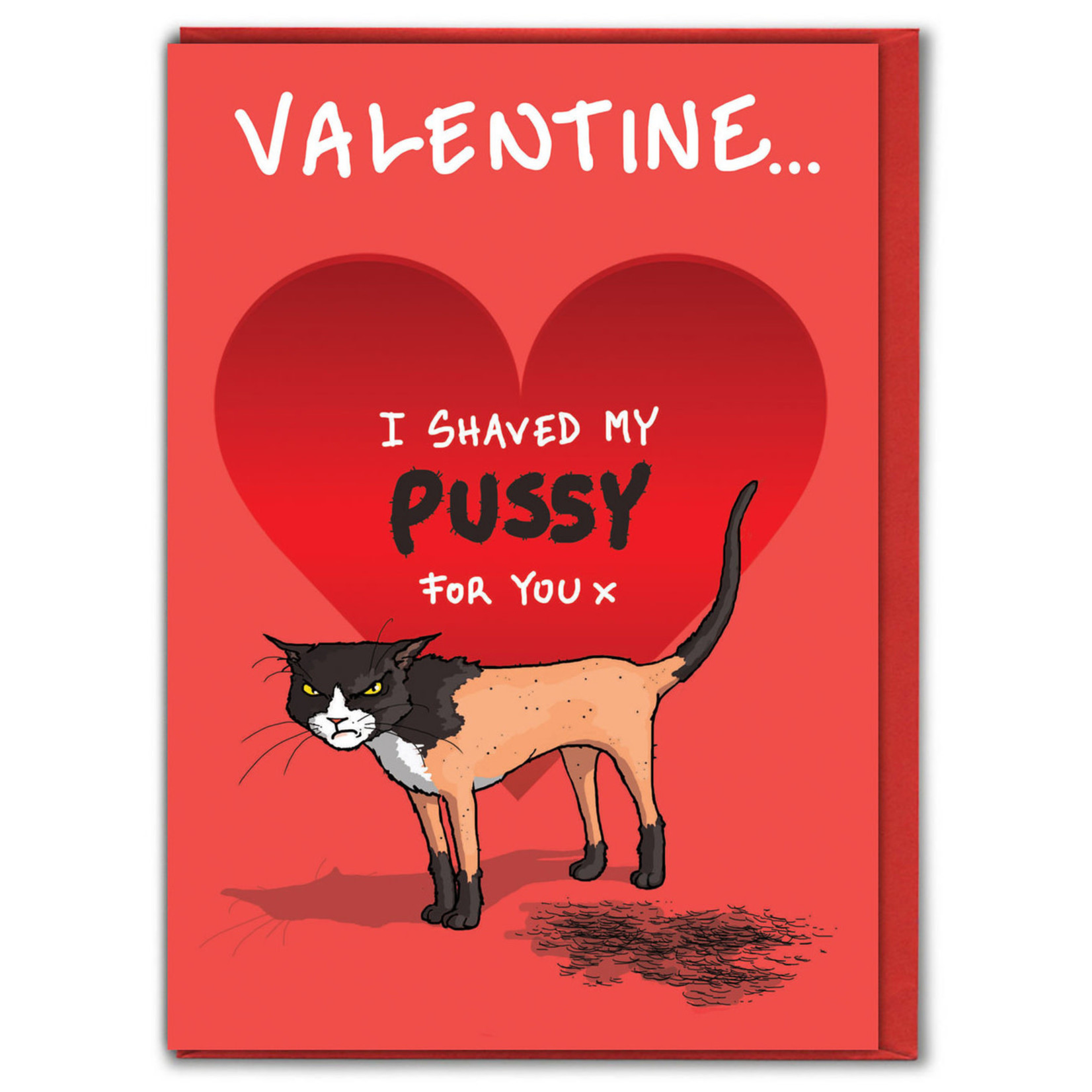 WORDY CARDS Shaved my Pussy for you Funny Valentines Card