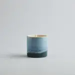 St. Eval St Eval Fig Tree Candle, Sea and Shore Pot