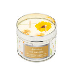 Wild Olive Wild Olive The Orangery Artisanal Tin Candle