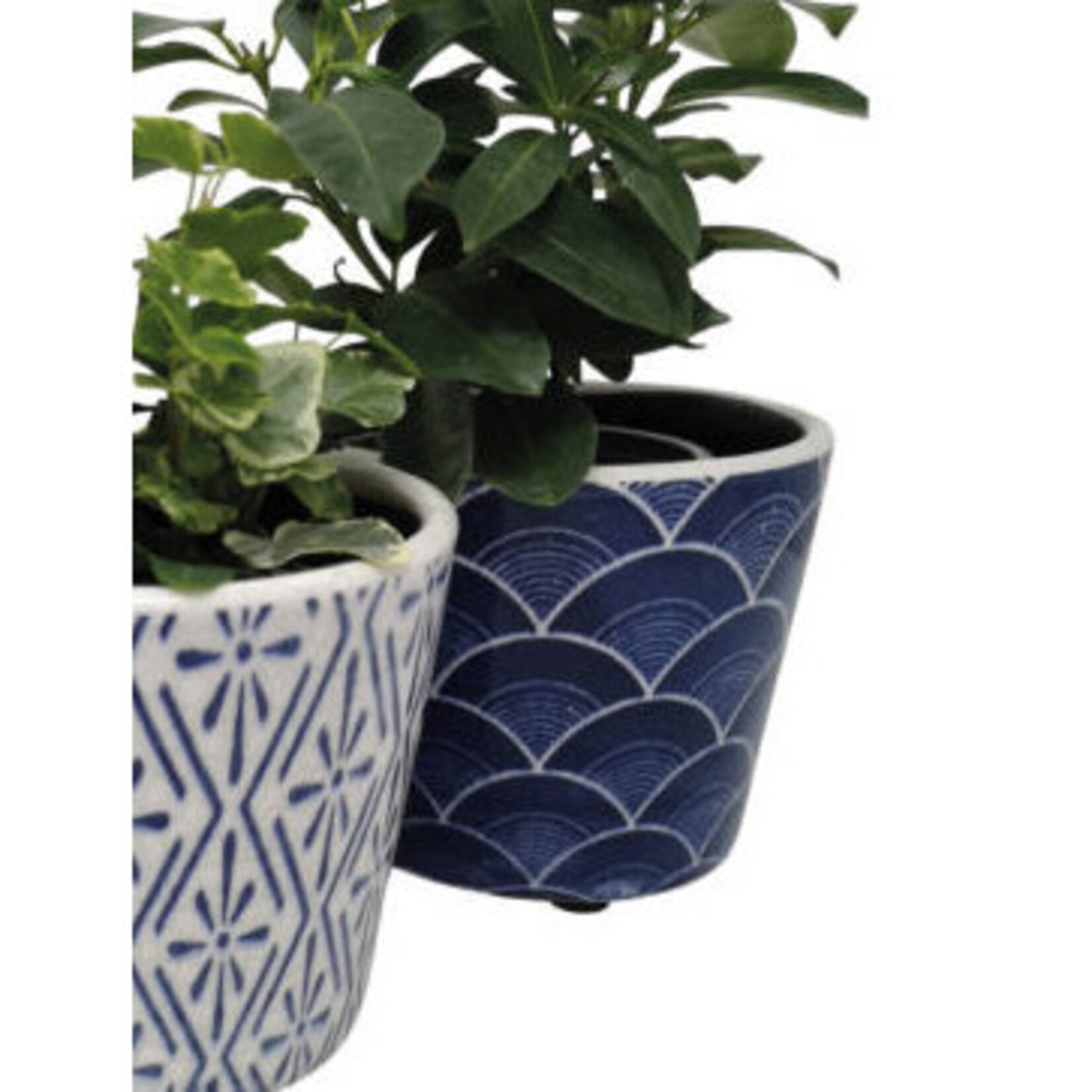 Casa Verde Plant Pot Delphi Midnight Blue 14x12cm