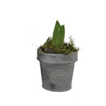 Casa Verde Kew Zinc Dinky Pot With Rim Small 8x8cm