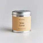 St. Eval St Eval Wild Gorse Tin Candle