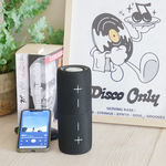 Steepletone Split Bluetooth Speaker