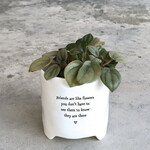 East of India Friends are like flowers Planter