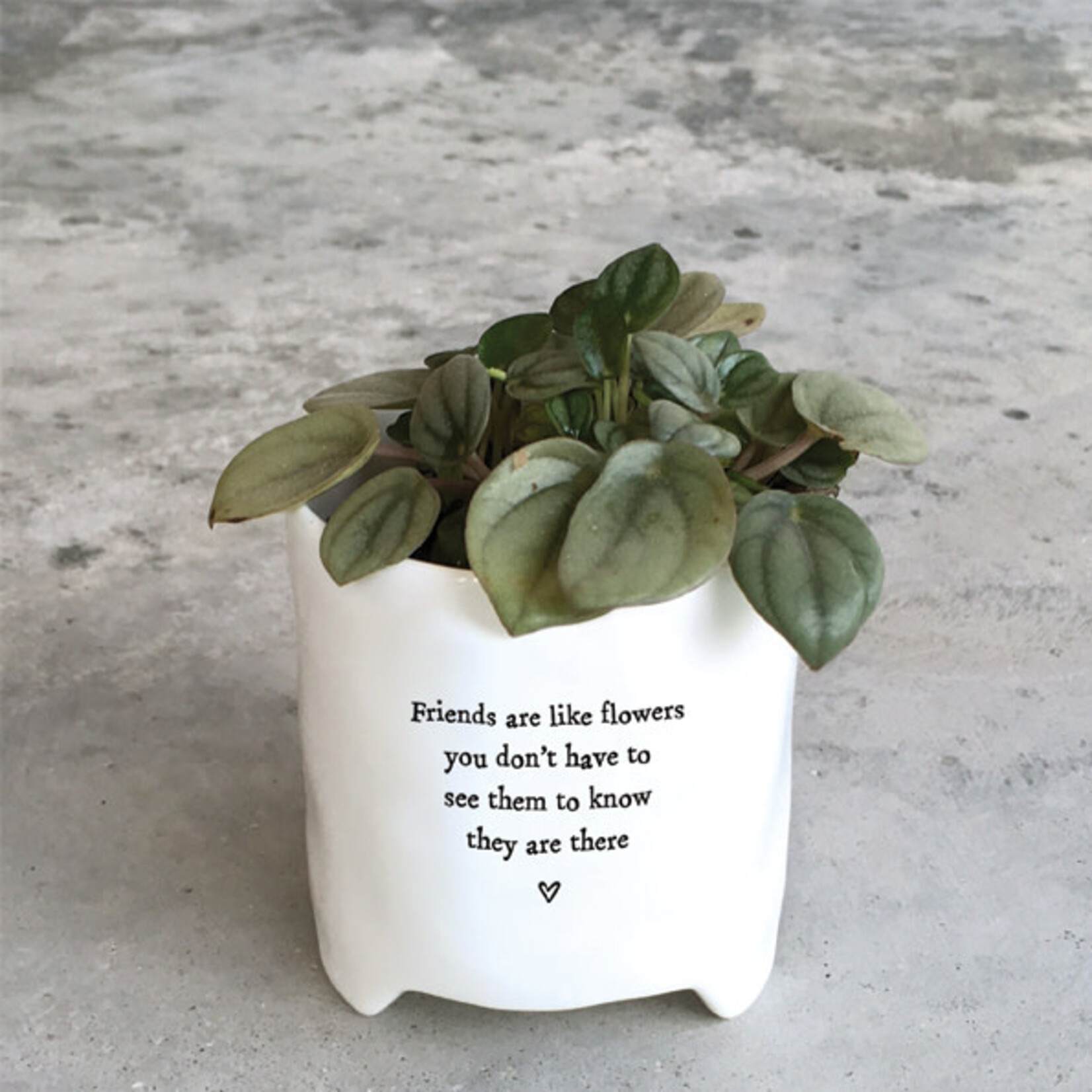 East of India Friends are like flowers Planter