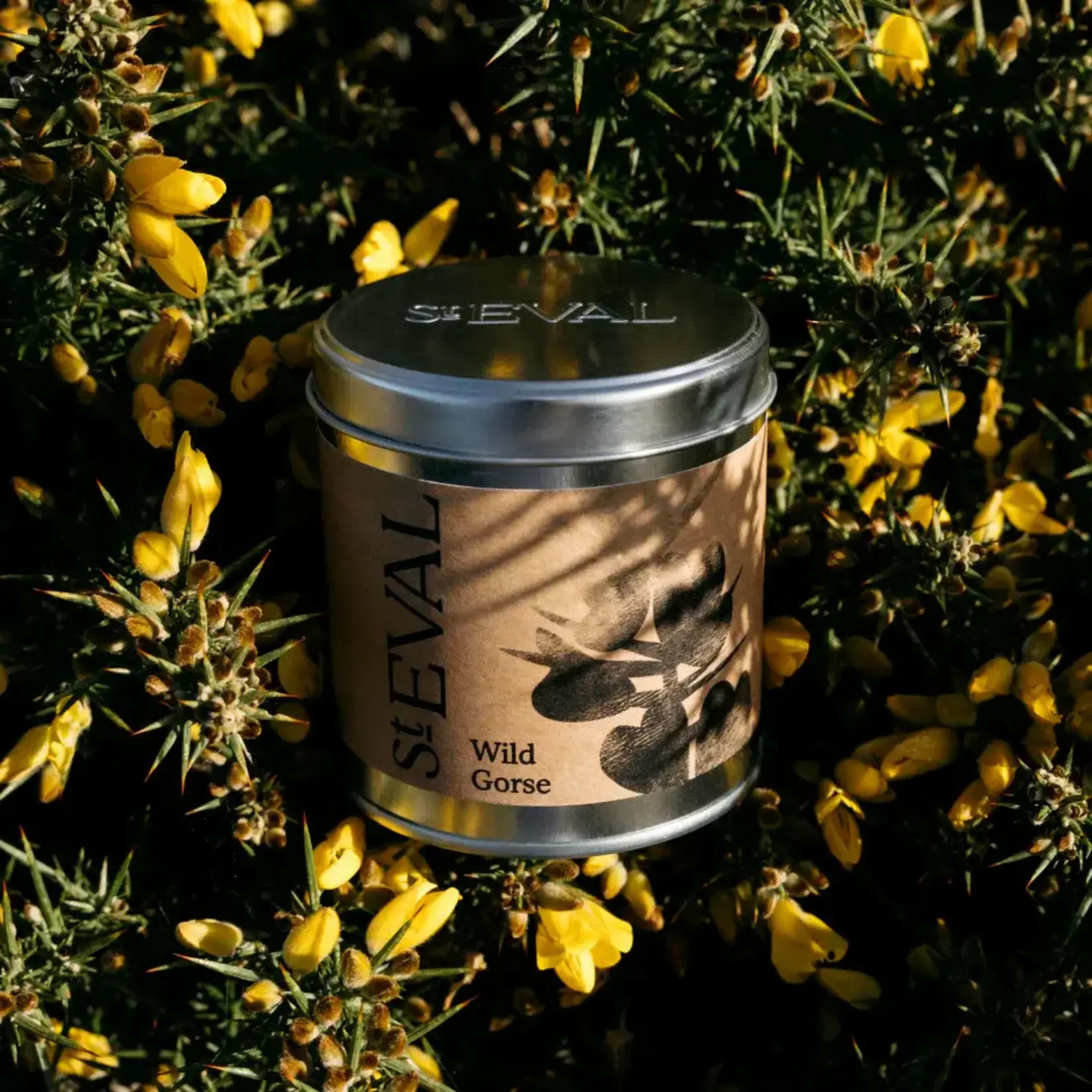 St. Eval St Eval Wild Gorse Tin Candle