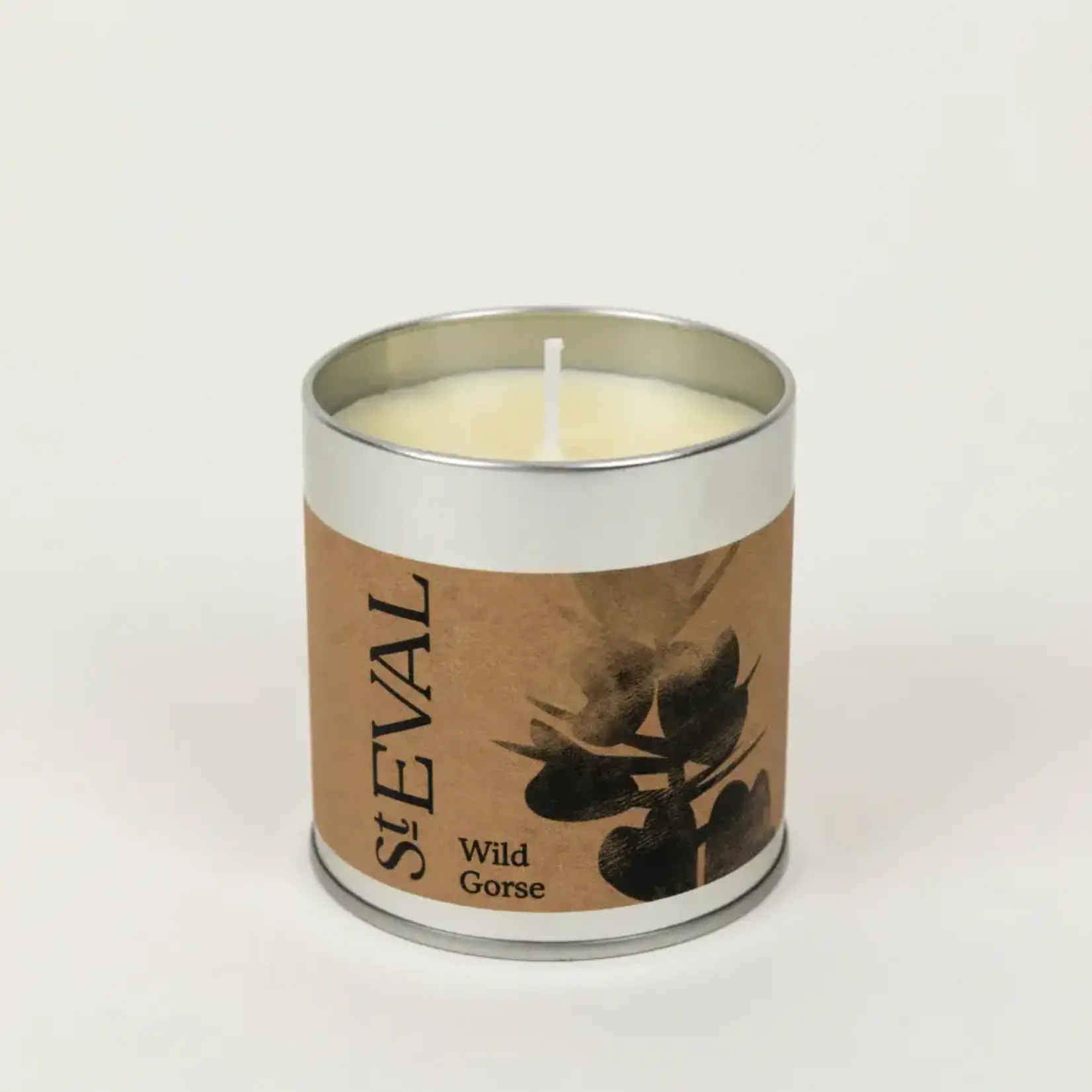St. Eval St Eval Wild Gorse Tin Candle