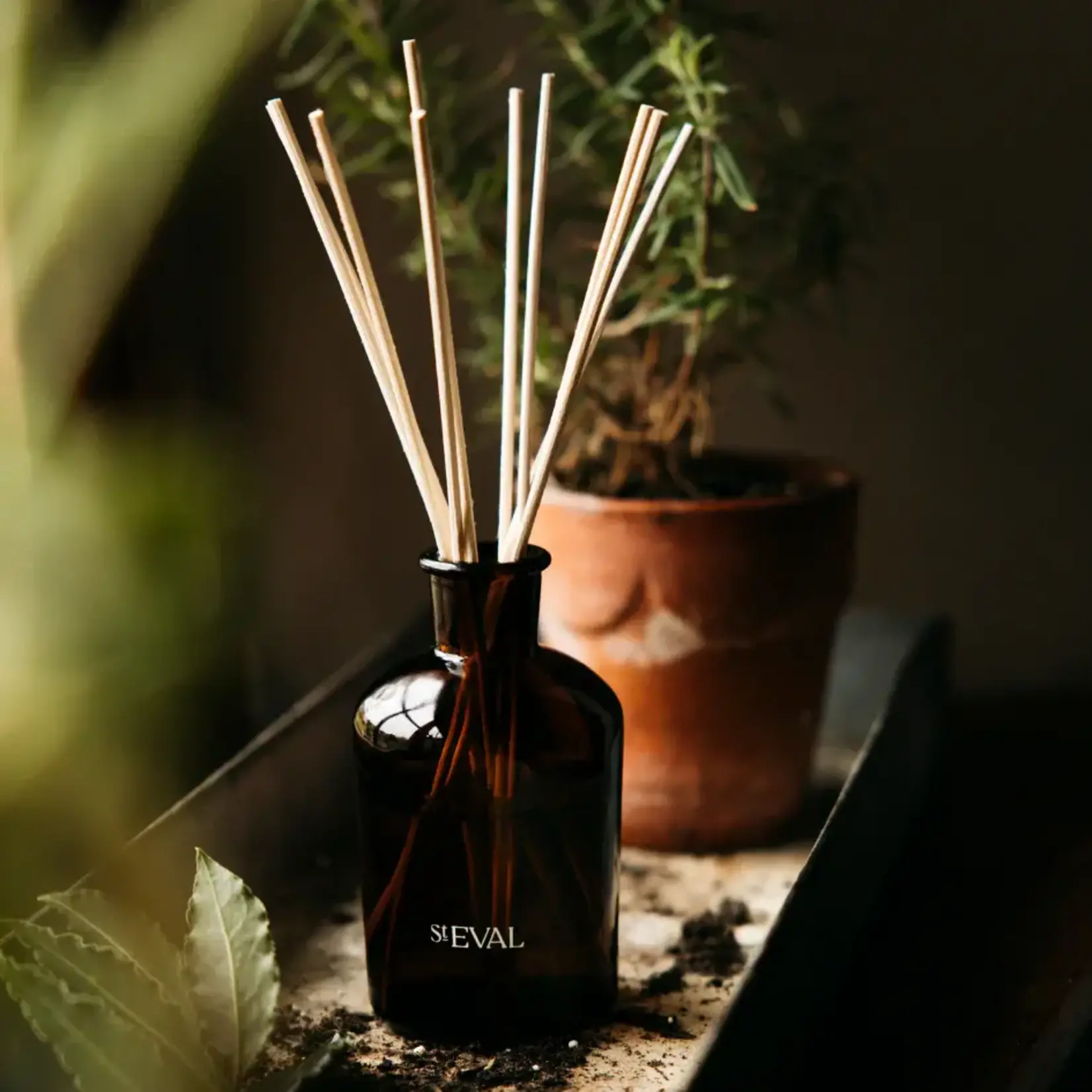 St. Eval St Eval Reed Diffuser Bay and Rosemary