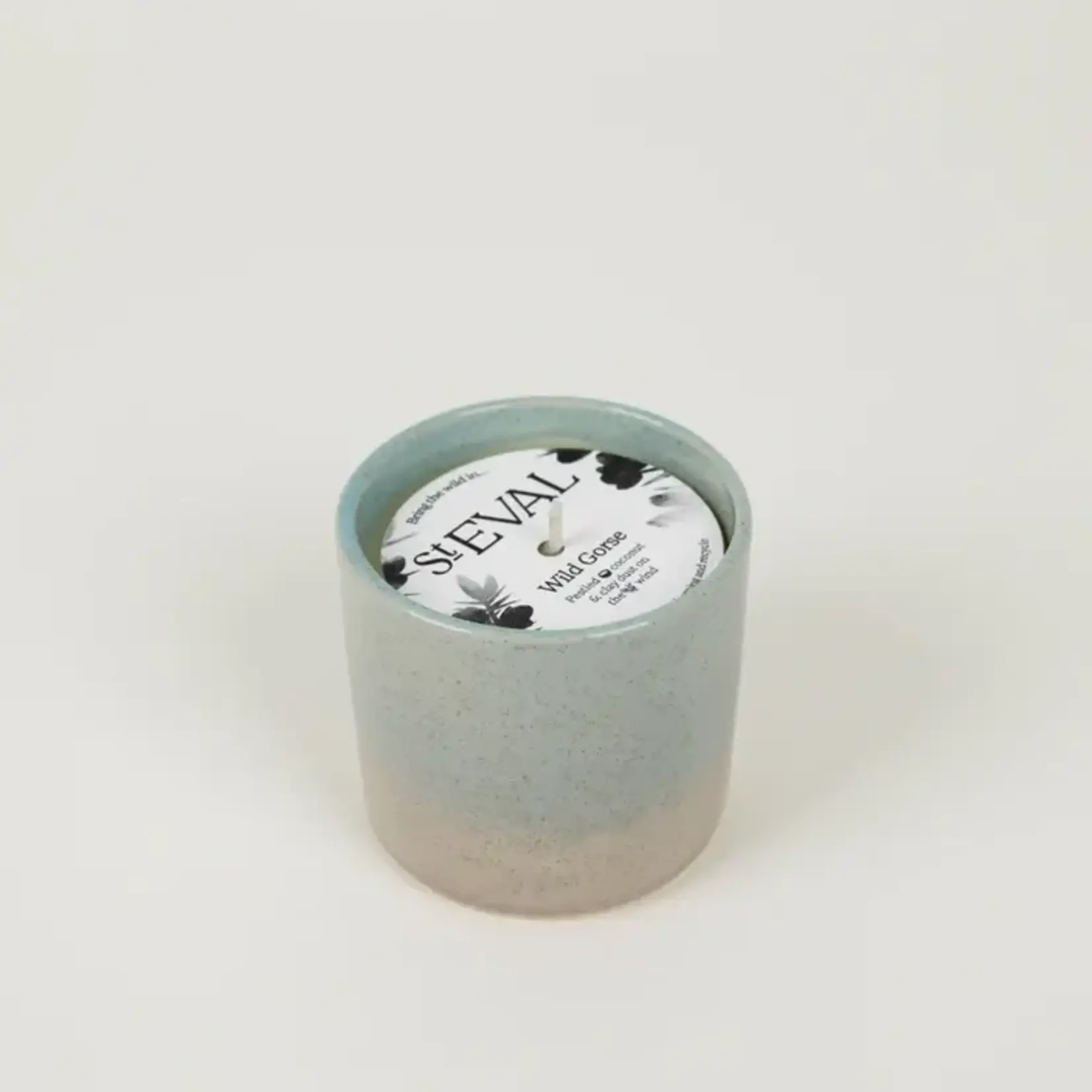 St. Eval St Eval Wild Gorse Candle, Sea and Shore Pot