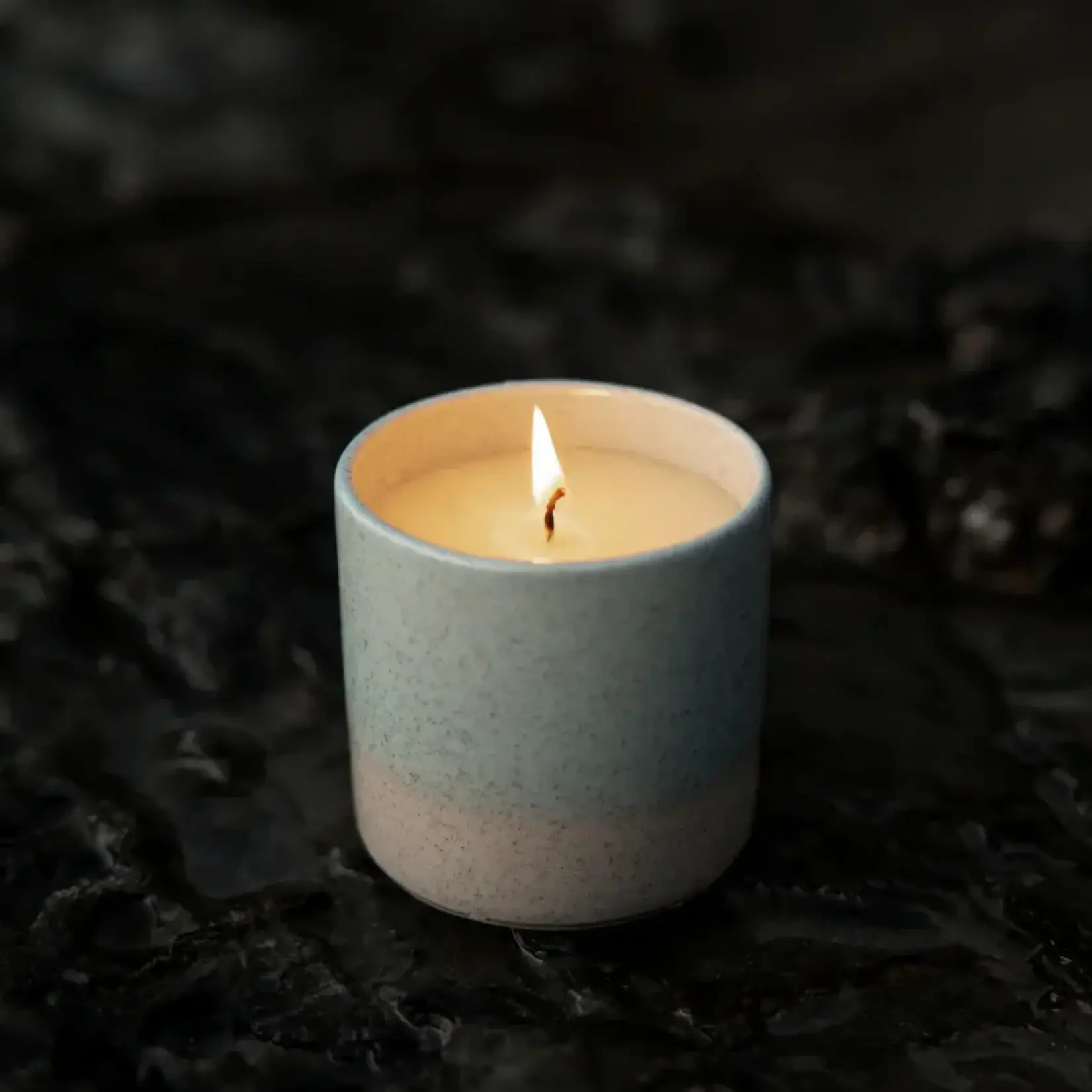 St. Eval St Eval Wild Gorse Candle, Sea and Shore Pot