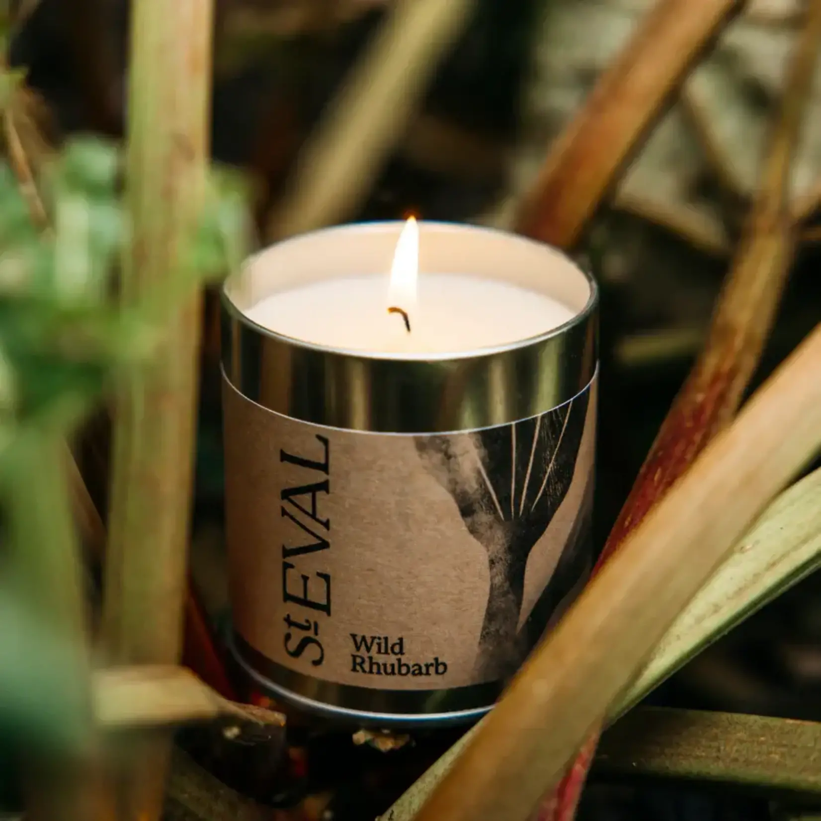St. Eval St Eval Wild Rhubarb Scented Tin Candle