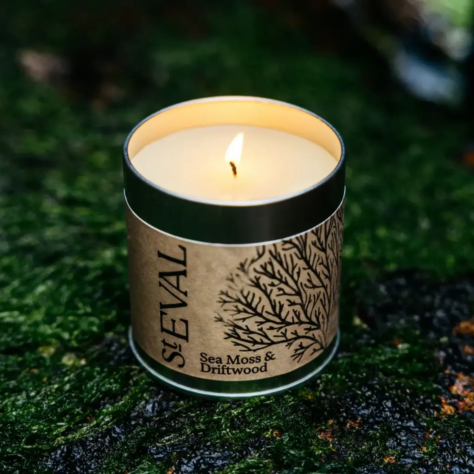 St. Eval St Eval Sea Moss and Driftwood Scented Tin Candle