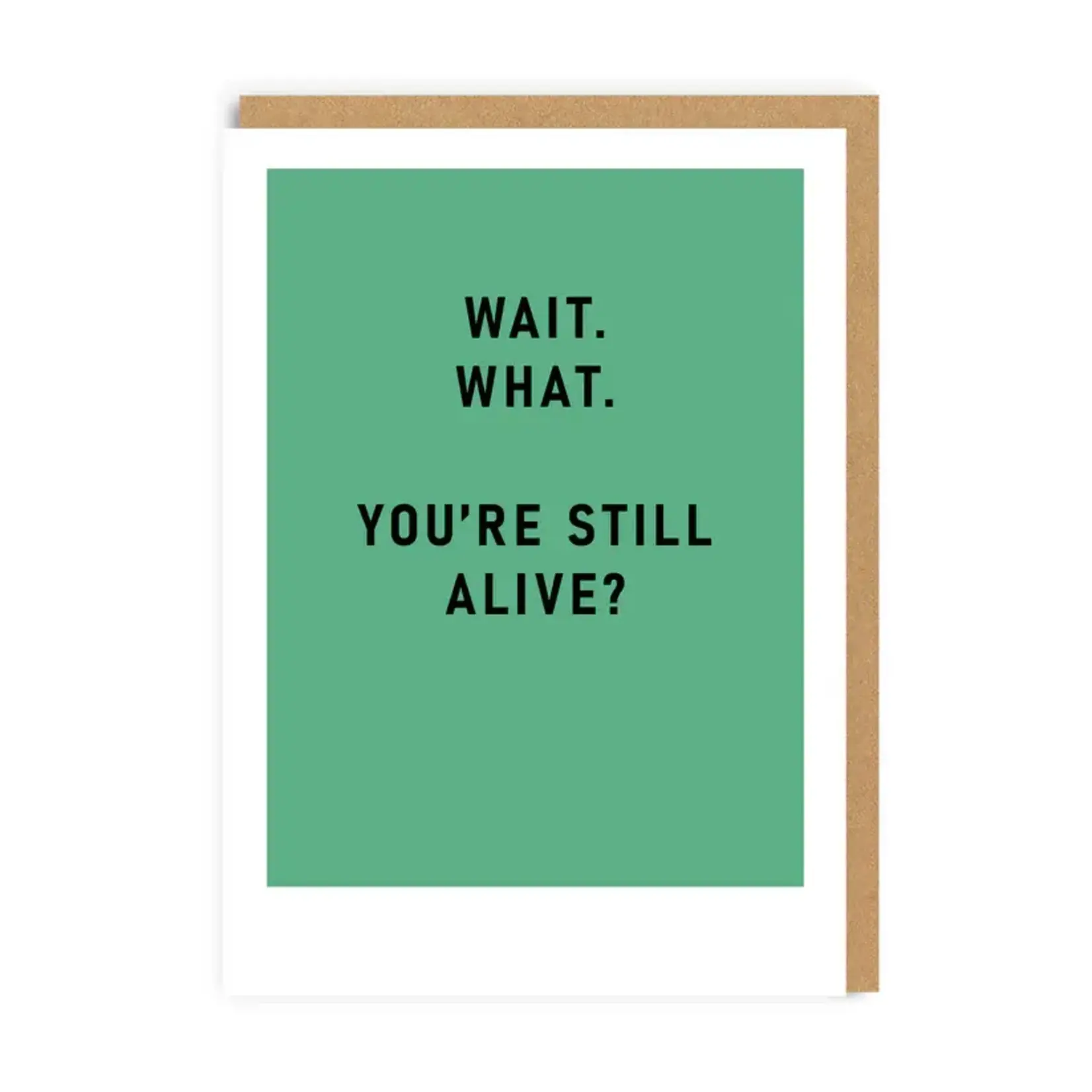 Ohh Deer You're Still Alive? Greeting Card