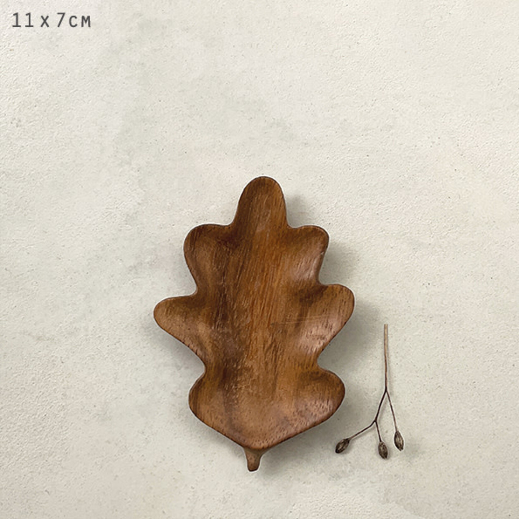 East of India Oak Flat leaf bowl