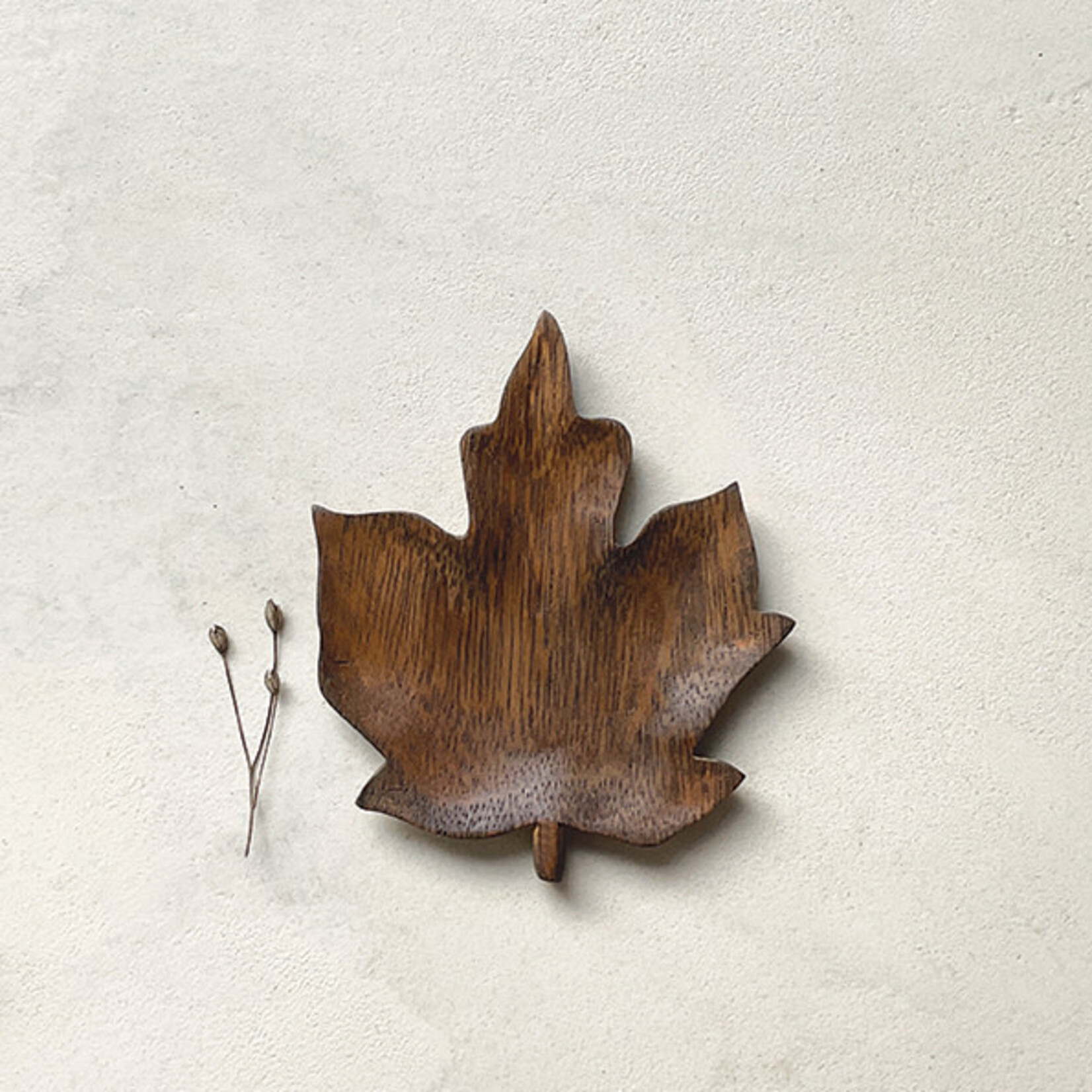 East of India Maple Small leaf flat dish