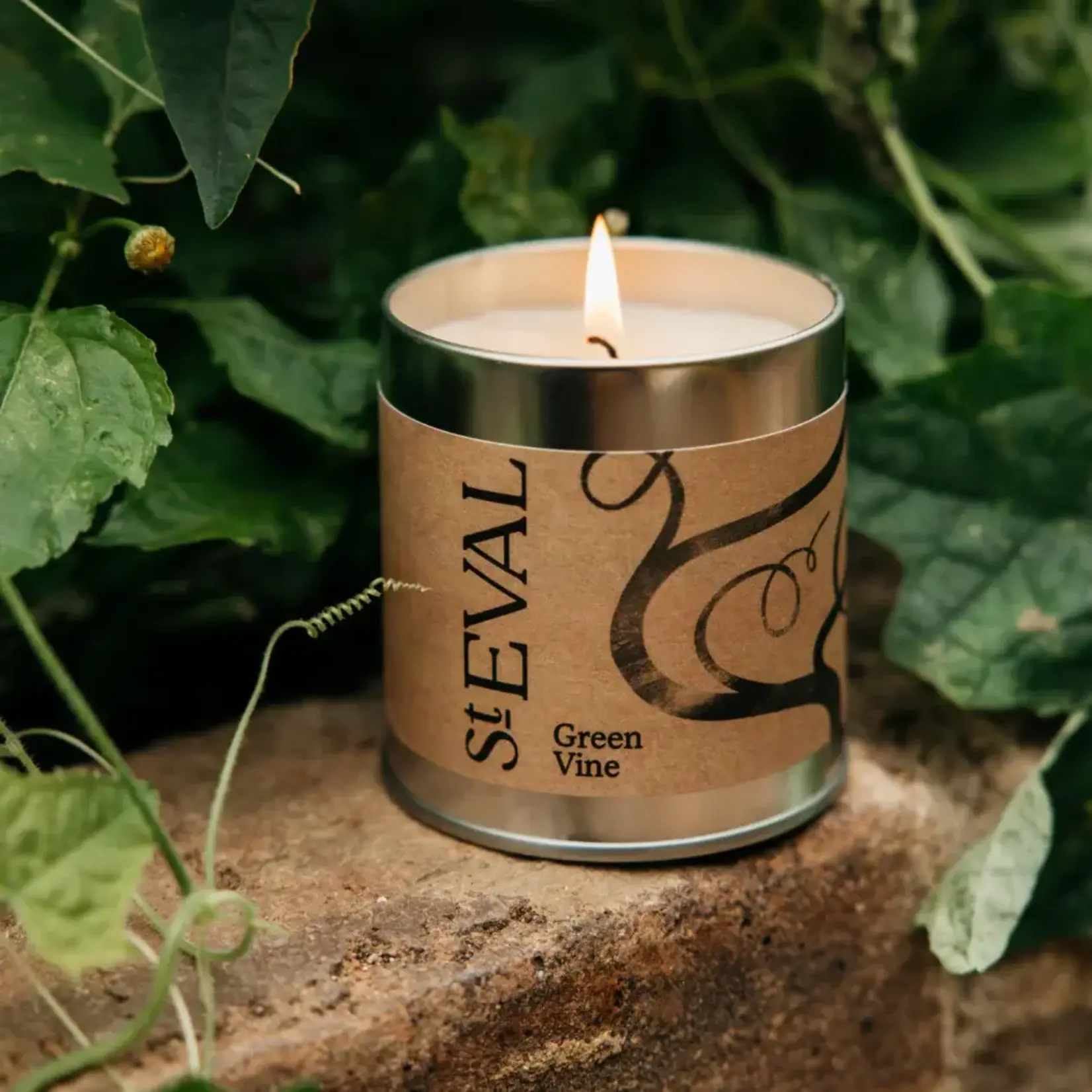 St. Eval St Eval Green Vine Scented Tin Candle