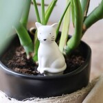 Lisa Angel Cat Plant Watering spike