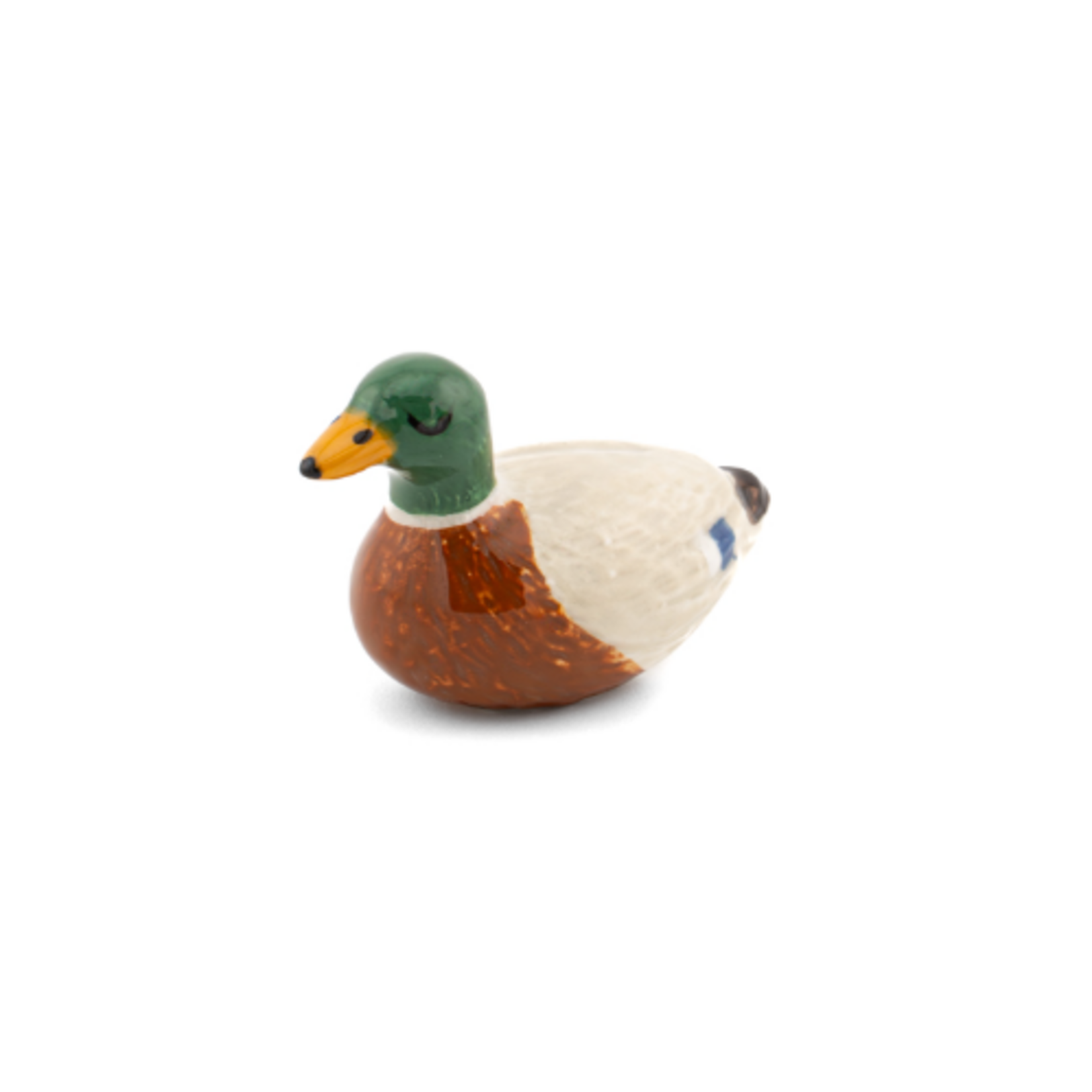 Sass and Belle Mallard Duck Token