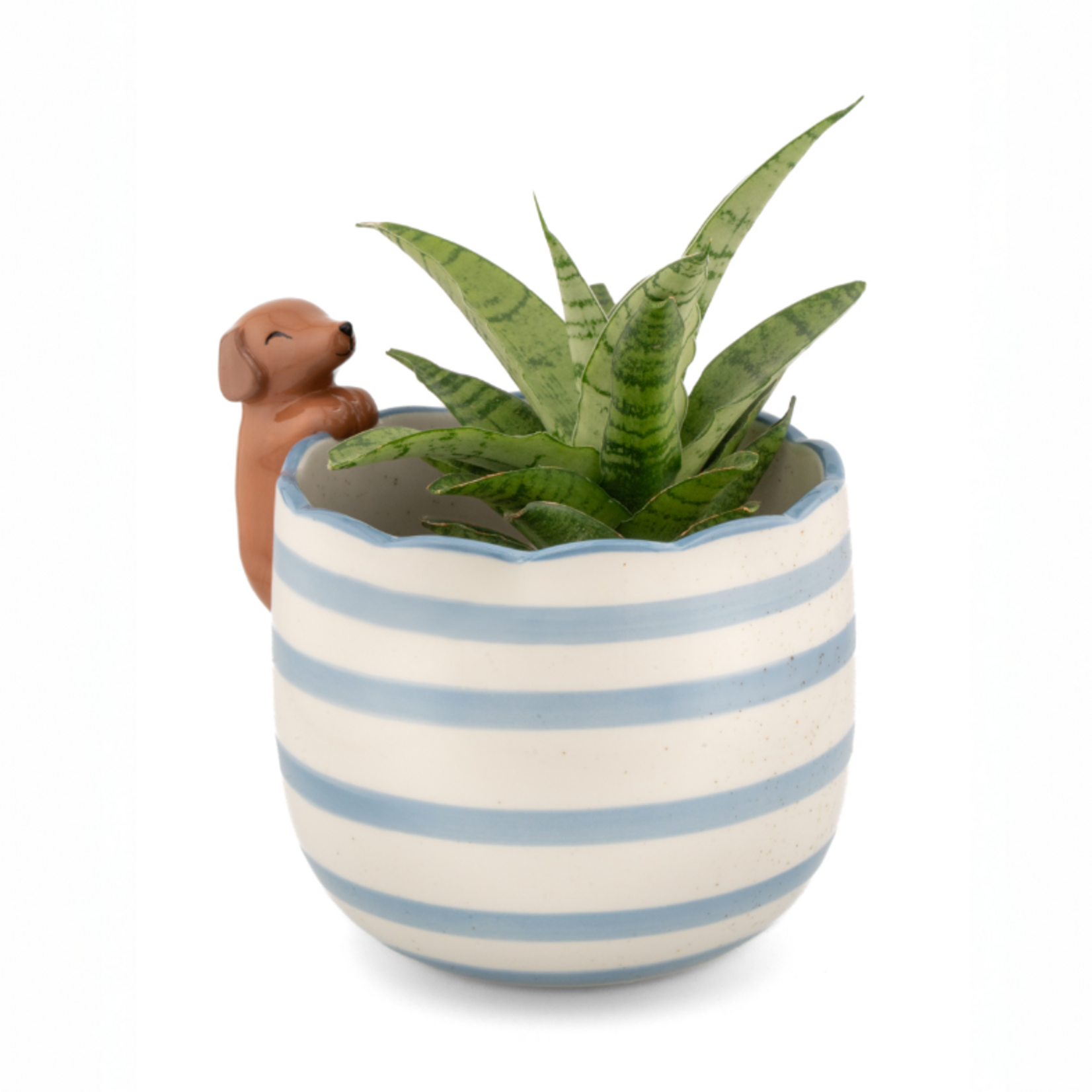 Sass and Belle Peeking Sausage Dog Planter