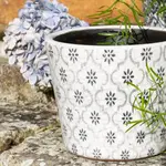 Plants and Pots