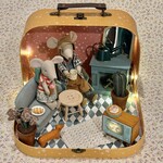 Medium Suitcase