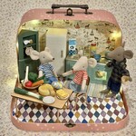 Large Suitcase