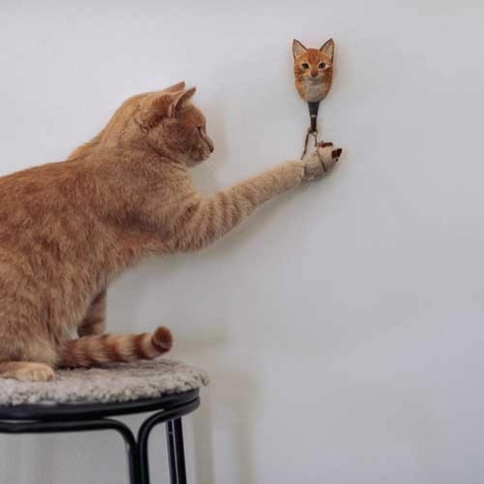 Wildlife Garden Wooden Hook Ginger Cat