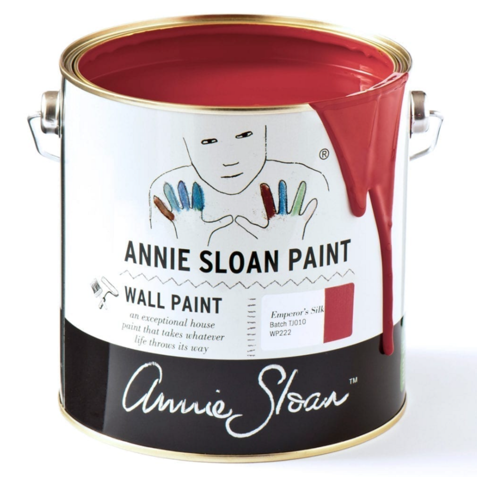Annie Sloan Annie Sloan Emperor Silk  wall paint