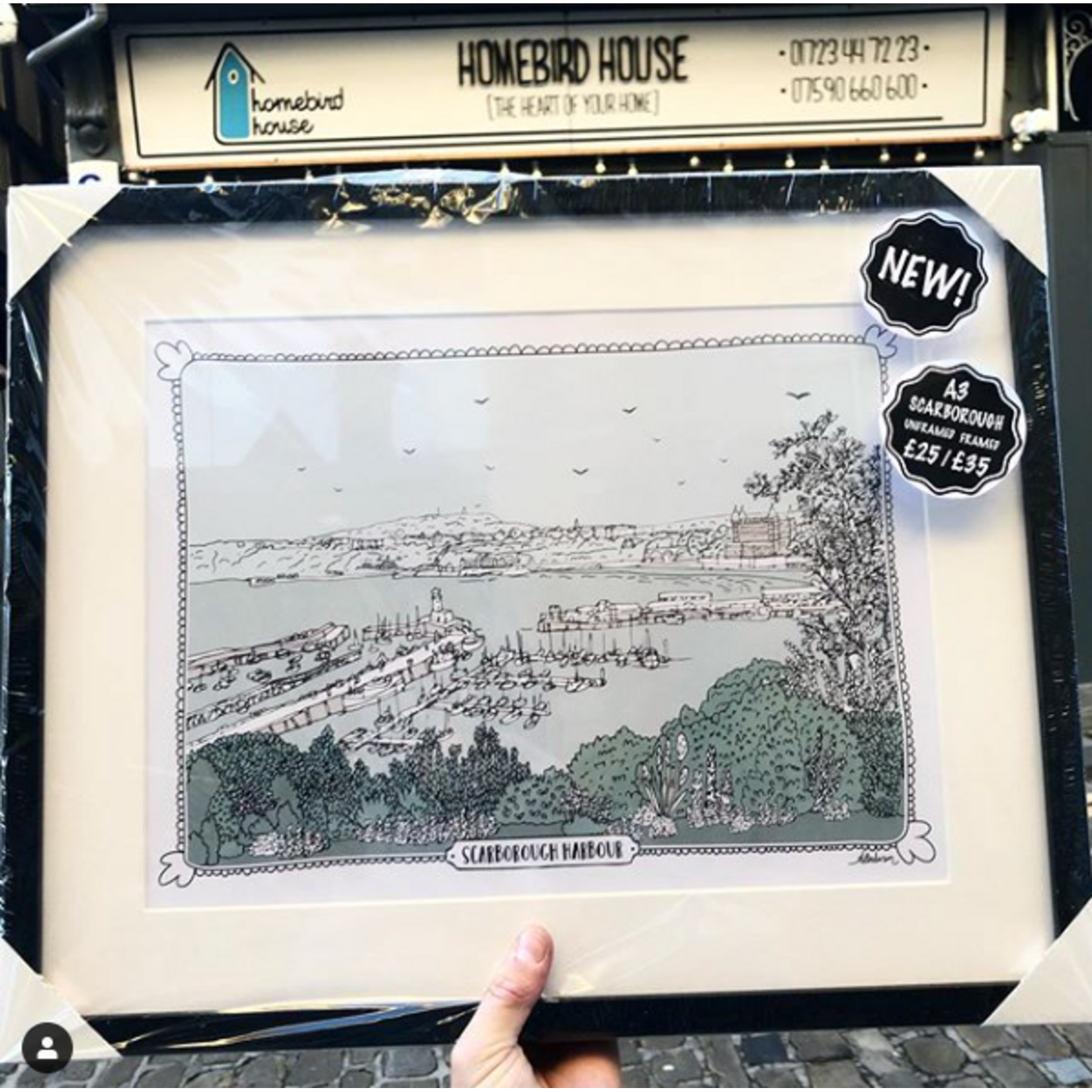 Homebird Art Alex Anderson Duck Egg HARBOUR Illustration
