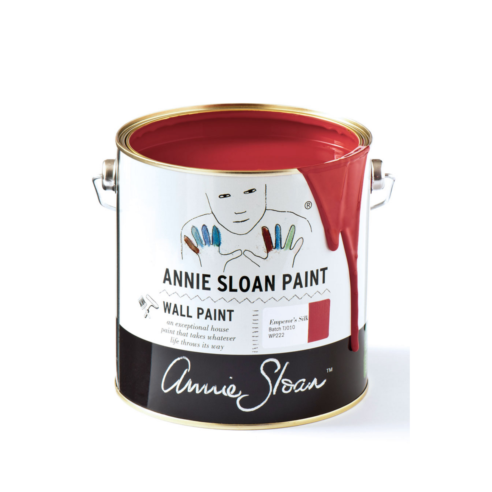 Annie Sloan Annie Sloan Emperor Silk  wall paint