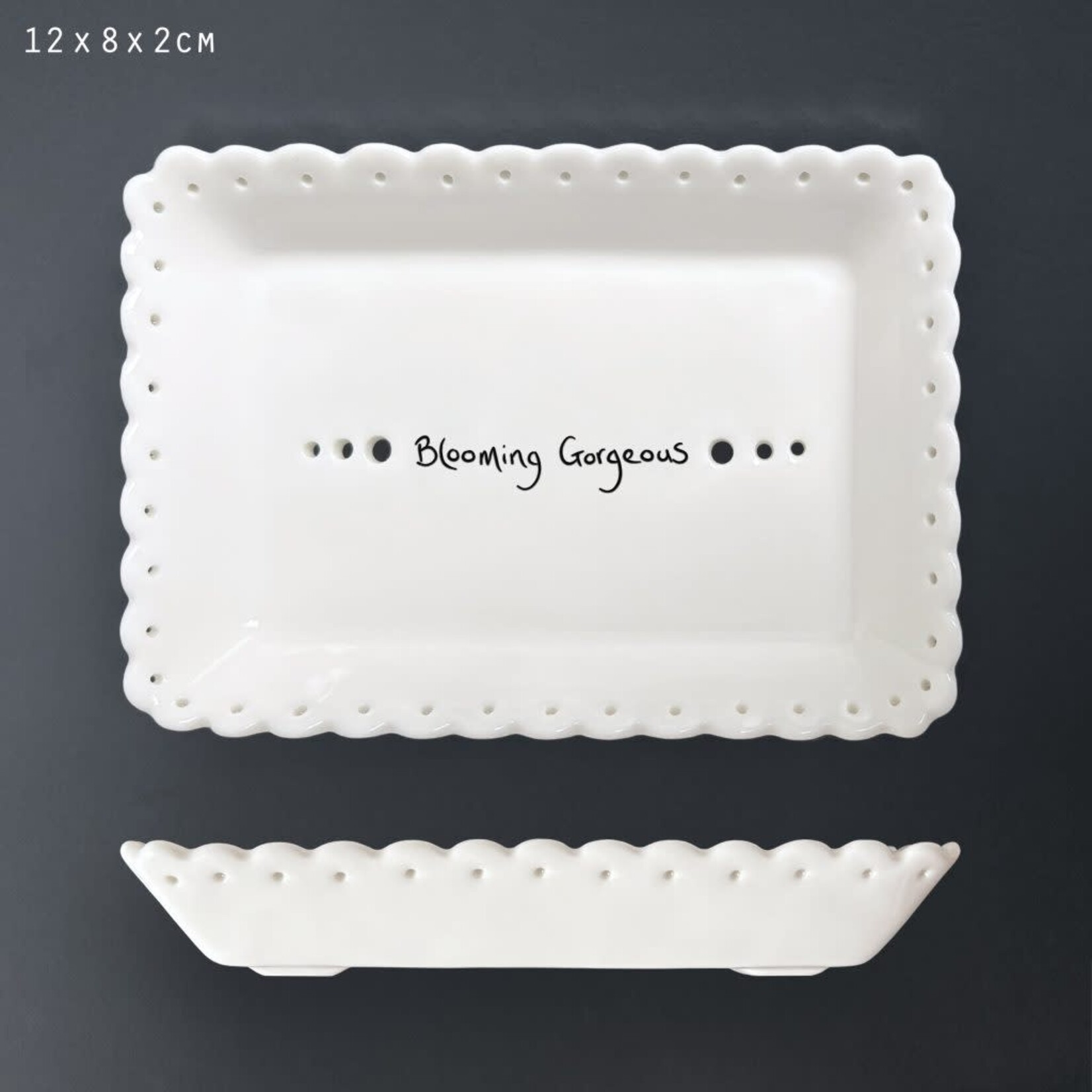 East of India Blooming gorgeous Scallop soap dish