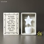 East of India Matchbox Friends like stars Plant