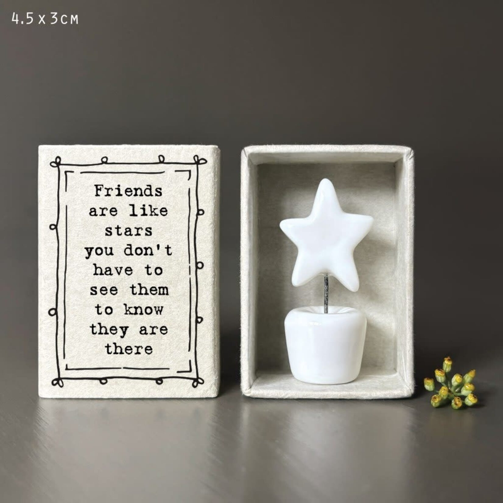 East of India Matchbox Friends like stars Plant