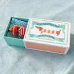 Mini sausage dog in a little box