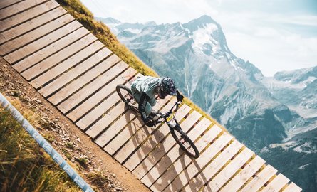 2 Alpes Bike Park