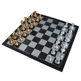 HOT Games Schaakcassette - Magnetisch